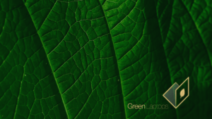 Background 3